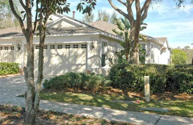 19133 WHITE WING PLACE - 19133 White Wing Place, Tampa, FL 33647