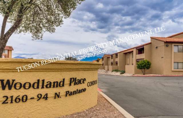 2194 N Pantano Rd. Unit # 251 -100 photos photos