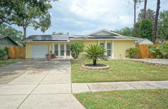5301 Carrollwood Meadows Drive - 5301 Carrollwood Meadows Drive, Citrus Park, FL 33625