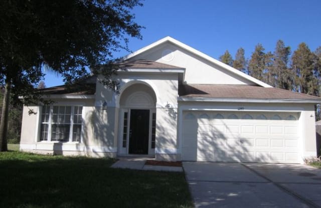 1249 Aldrich Ct - 1249 Aldrich Drive, Wesley Chapel, FL 33543