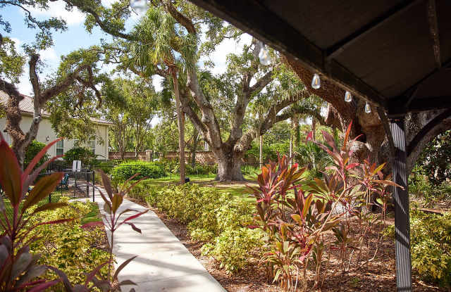 Arietta 55+ Senior Living Gallery 4