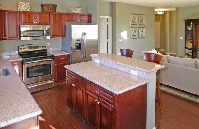 846 Tower Ridge Circle Gallery 2
