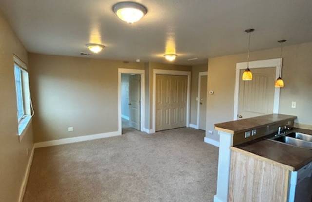 Centrally Located Large 1 Bedroom 1 Bathroom Apartment photos photos