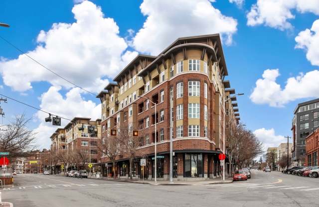 Enjoy comfort and luxury Seattle 1 bed/1 bath ! photos photos