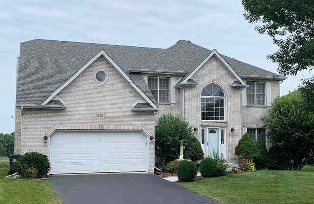 3739 Mistflower Lane - 3739 Mistflower Lane, Naperville, IL 60564