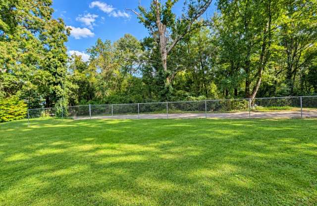 Black Mountain Apartment- Great Yard Space- Water and Lawn Care Included! Gallery 3