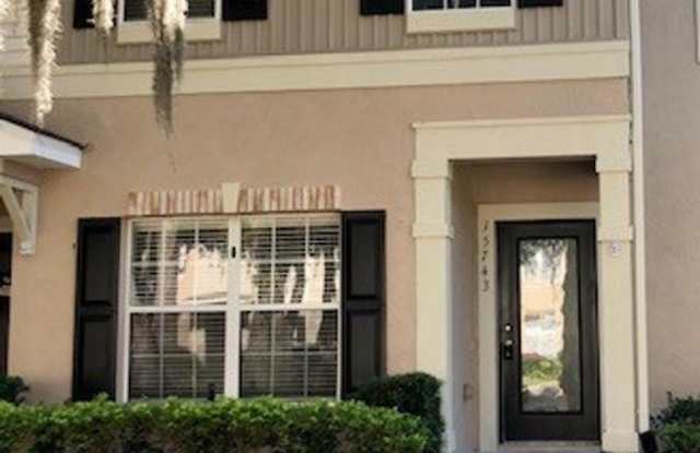 15743 Fishhawk Falls Drive - 15743 Fishhawk Falls Drive, Fish Hawk, FL 33547