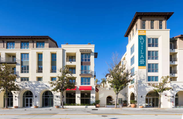 Avila Apartments Gallery 2