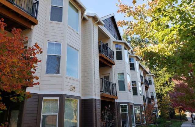 Belmar Commons photos photos