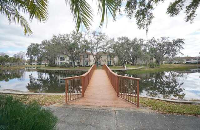 10330 Carrollwood Lane photos photos