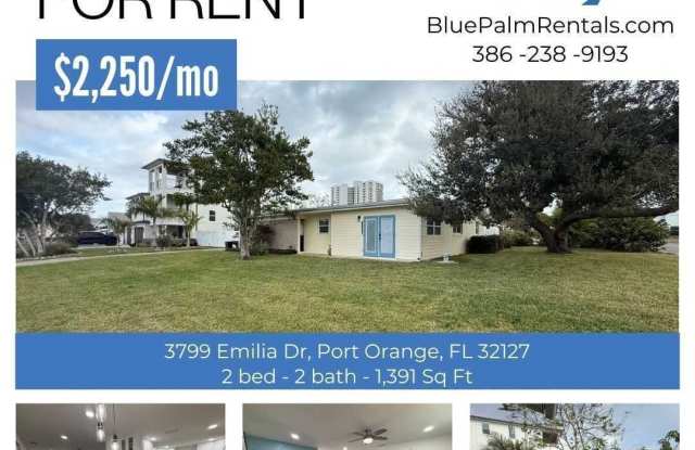 Updated 2 Bedroom 2 Bathroom House - 3799 Emilia Drive, Volusia County, FL 32127