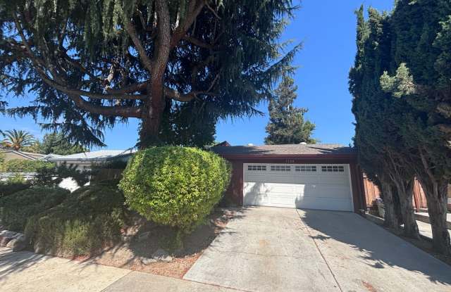 Blossom Valley- well maintained single-family home,3 beds, extra den and 2 baths photos photos