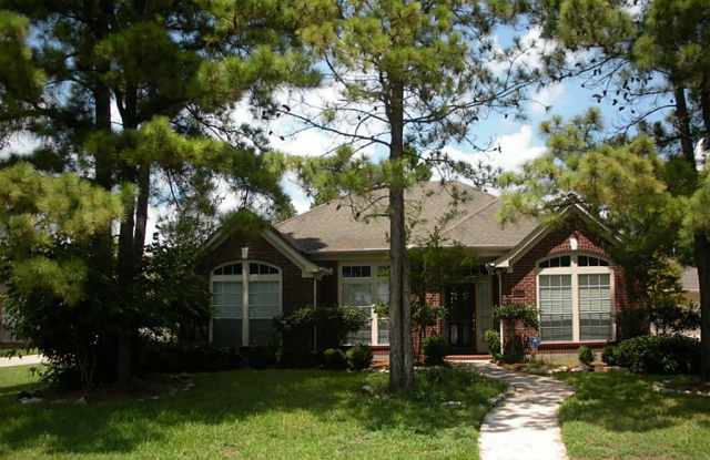 8415 Trophy Place Drive - 8415 Trophy Place Drive, Atascocita, TX 77346
