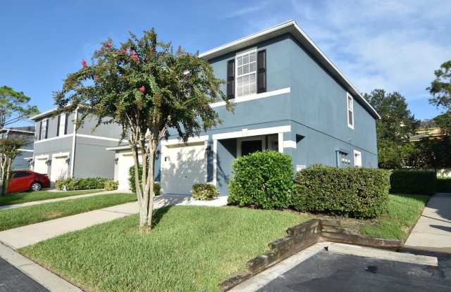 954 Coquina Rock St. photos photos