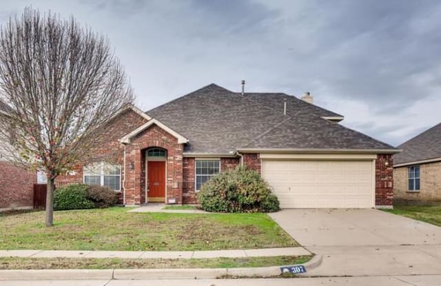307 Rock Meadow Trail - 307 Rock Meadow Trail, Arlington, TX 76063