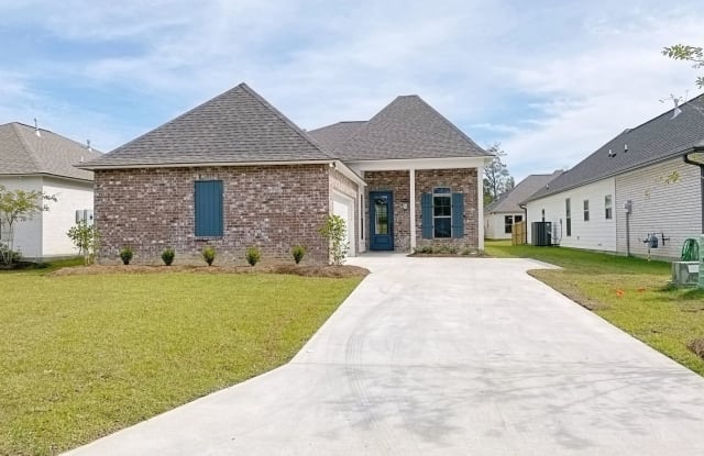 30156 Sanctuary Blvd. - 30156 Sanctuary Boulevard, Livingston County, LA 70726