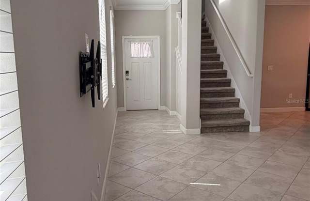 1384 WHITE FOX Run Gallery 4