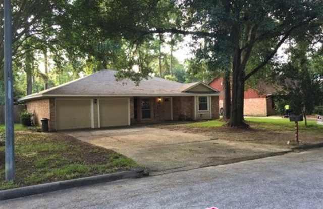 22810 Cranberry Trl - 22810 Cranberry Trail, Spring, TX 77373