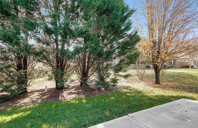 404 Sawgrass Hill Ct Gallery 4