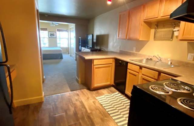 Perfect Furnished Studio with ALL the AMENITIES! Gallery 1