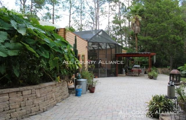 25910 Queen Sago Place - 25910 Queen Sago Place, Pasco County, FL 33544