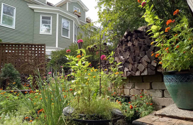13 Essex Street photos photos