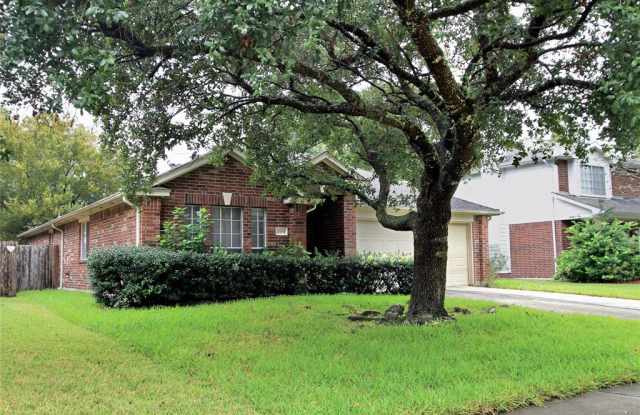 21484 Palace Pines Drive - 21484 Palace Pines Drive, Montgomery County, TX 77339