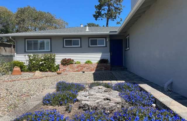 Great Four Bedroom, Three Bathroom House in Monterey photos photos