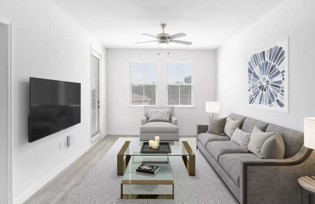 Cortona South Tampa Gallery 2