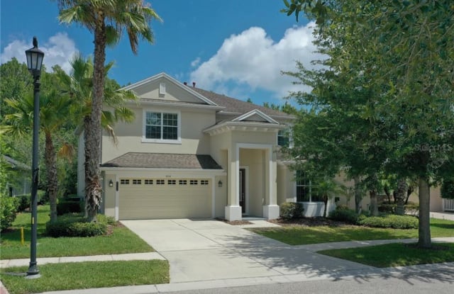 8108 HAMPTON LAKE DRIVE - 8108 Hampton Lake Drive, Tampa, FL 33647