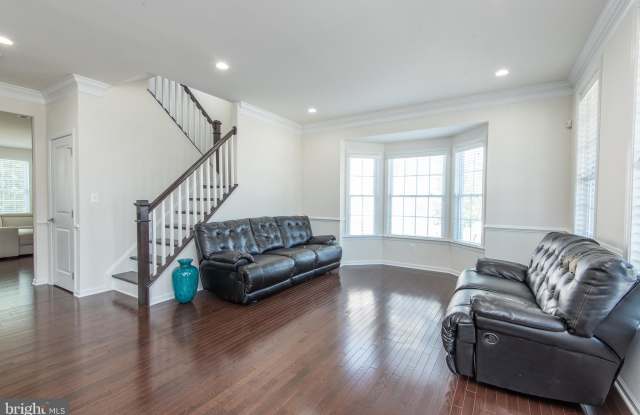 41174 TURTLE DOVE CIRCLE Gallery 3