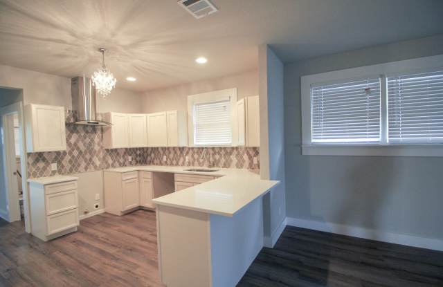 Historic 3/2 Adorable Remodel in Dignowity/Denver Heights Gallery 3
