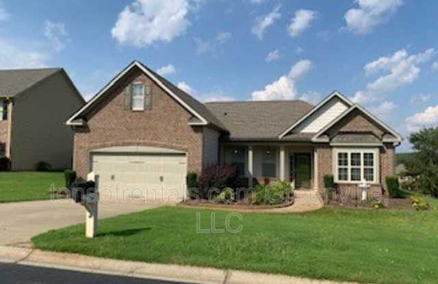 205 Silver Hawk Drive - 205 Silver Hawk Drive, Spartanburg County, SC 29334