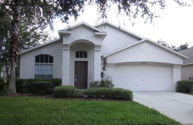 10439 Lucaya Drive - 10439 Lucaya Drive, Tampa, FL 33647