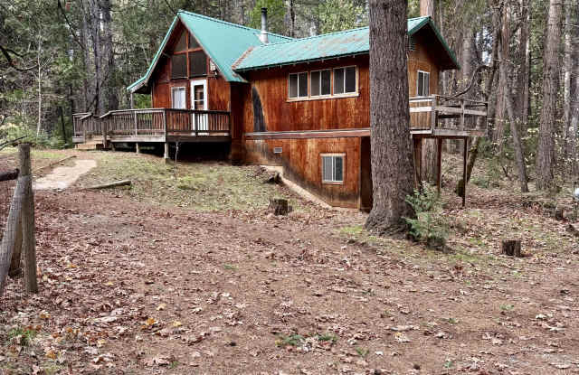 17723 Lazy Dog Road - 17723 Lazy Dog Road, Nevada County, CA 95959