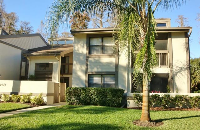 20 WOODLAKE COURT - 20 Woodlake Court, East Lake, FL 34677