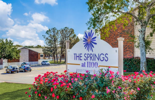 The Springs at 1100 Apartment Homes photos photos
