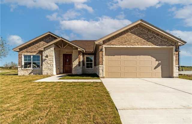 2004 Diplomat Drive - 2004 Diplomat Drive, Edinburg, TX 78542