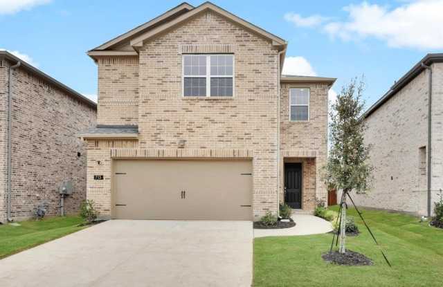 713 Portina Drive - 713 Portina Drive, Anna, TX 75409