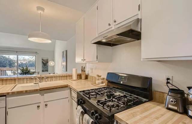 207 Orange Blossom photos photos