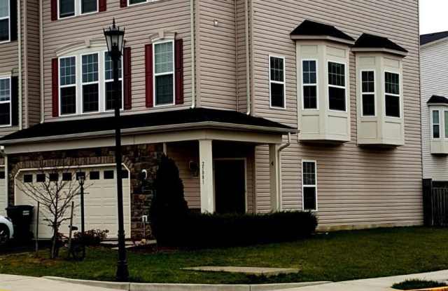 25081 SILURIAN TERRACE - 25081 Silurian Terrace, Stone Ridge, VA 20105