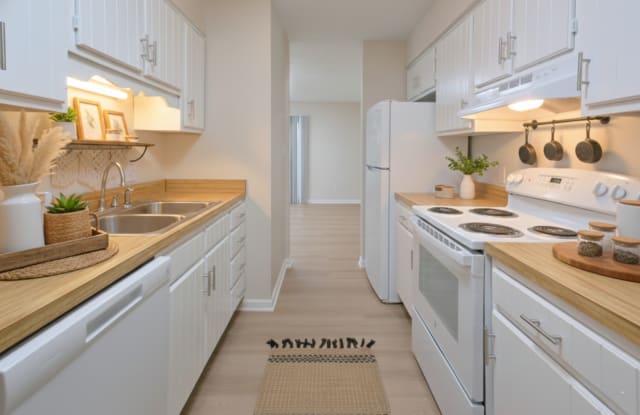 Collins Park photos photos