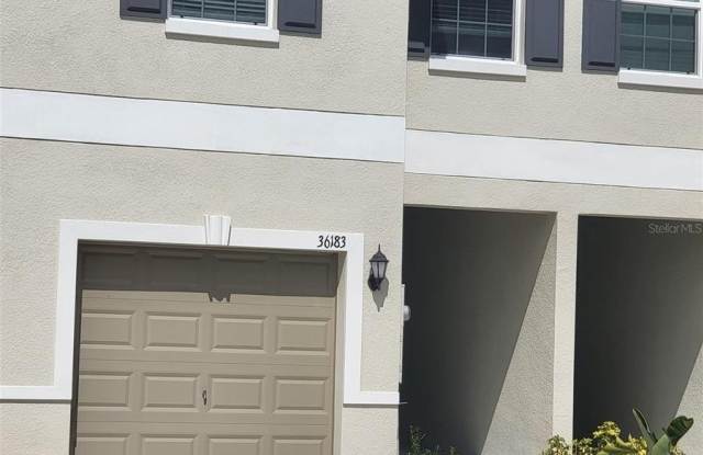 36183 RISA MICHELE STREET - 36183 Risa Michele Street, Pasco County, FL 33541 36183 RISA MICHELE STREET - 36183 Risa Michele Street, Pasco County, FL 33541