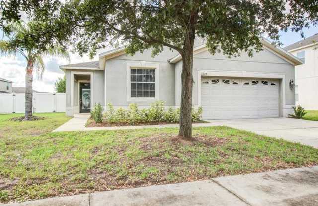 11228 Flora Springs Drive - 11228 Flora Springs Drive, Riverview, FL 33579