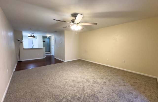 Bivens Forest #1416 photos photos