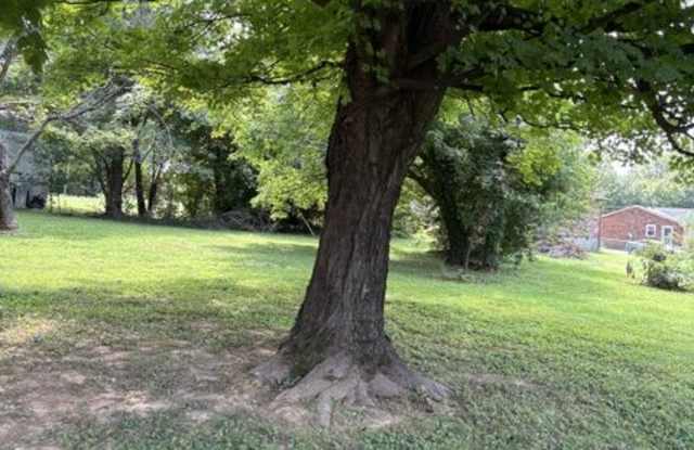 123 Stumphs Court Gallery 4