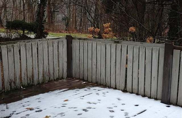 926 Snowfall Gallery 2