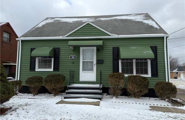 920 E 218th Street photos photos