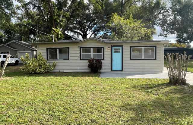 1319 Francis Ave. - 1319 Francis Avenue, Orange County, FL 32806