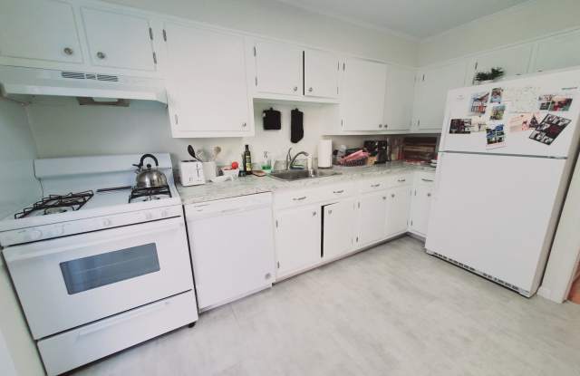 11 Elmwood Street photos photos 11 Elmwood Street photos photos